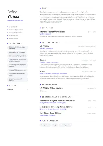 Yönetici CV Örnekleri cv indir
